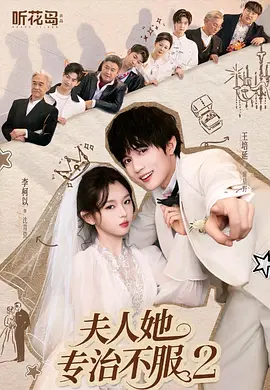 夫人她专治不服2海报
