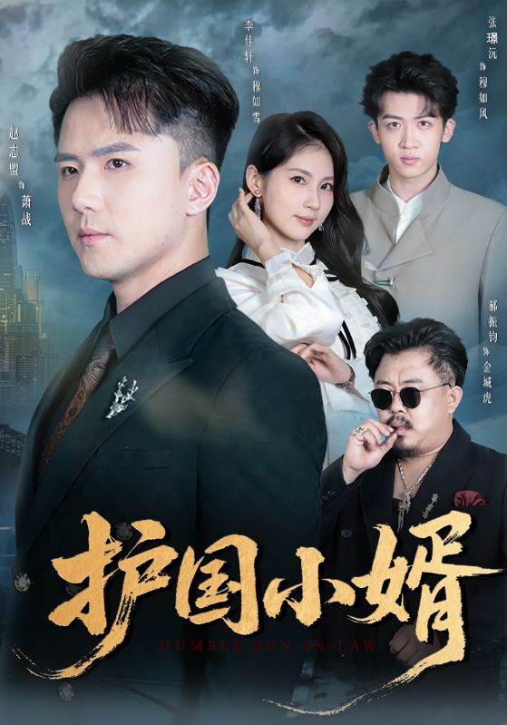 护国小婿海报