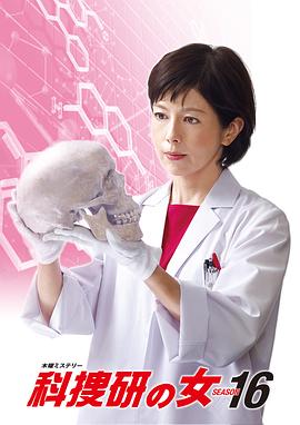 科搜研之女第16季海报