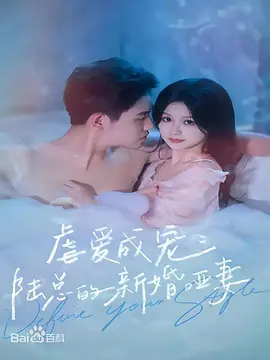 虐爱成宠：陆总的新婚哑妻海报