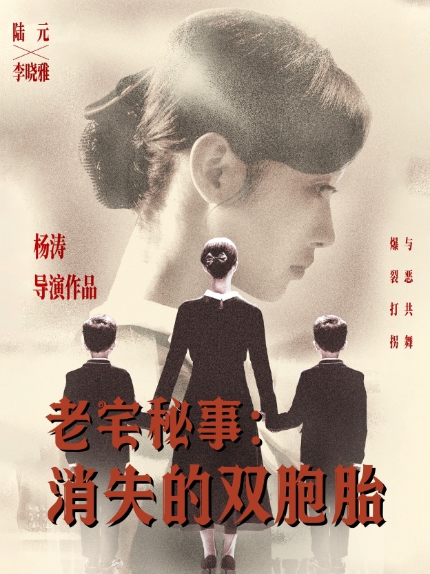 老宅秘事消失的双胞胎海报