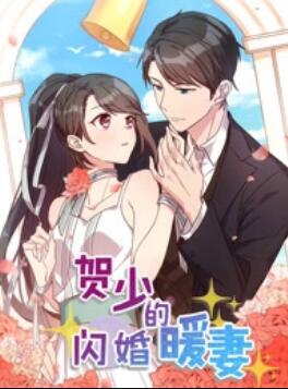 贺少的闪婚暖妻 动态漫第一季海报