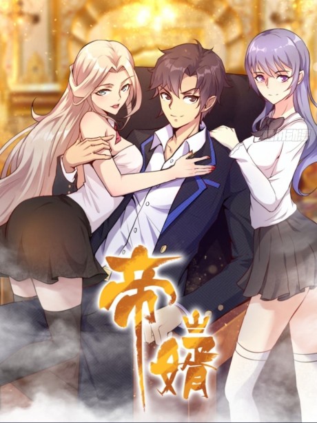 帝婿动态漫画海报