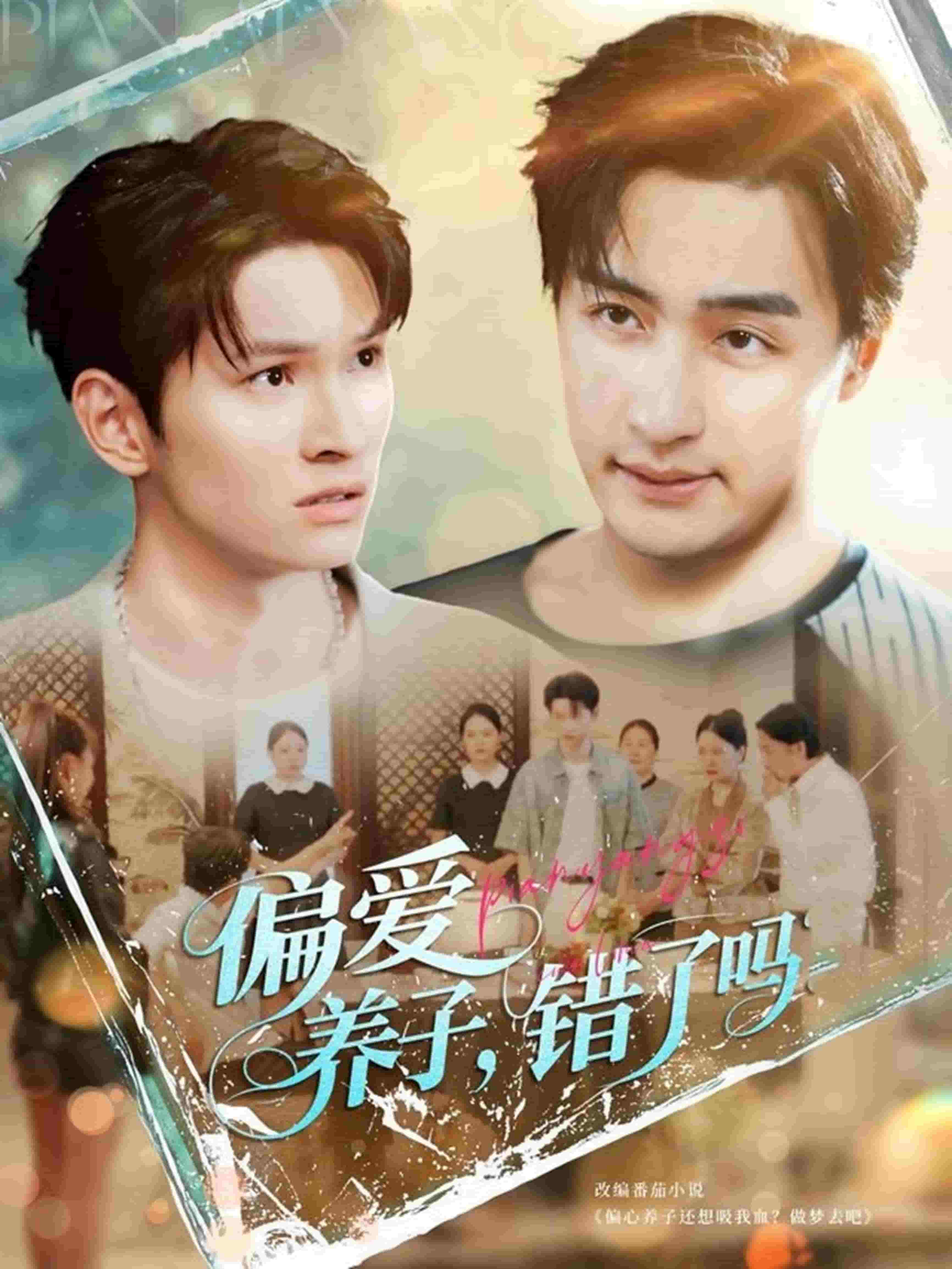 偏爱养子，错了吗海报