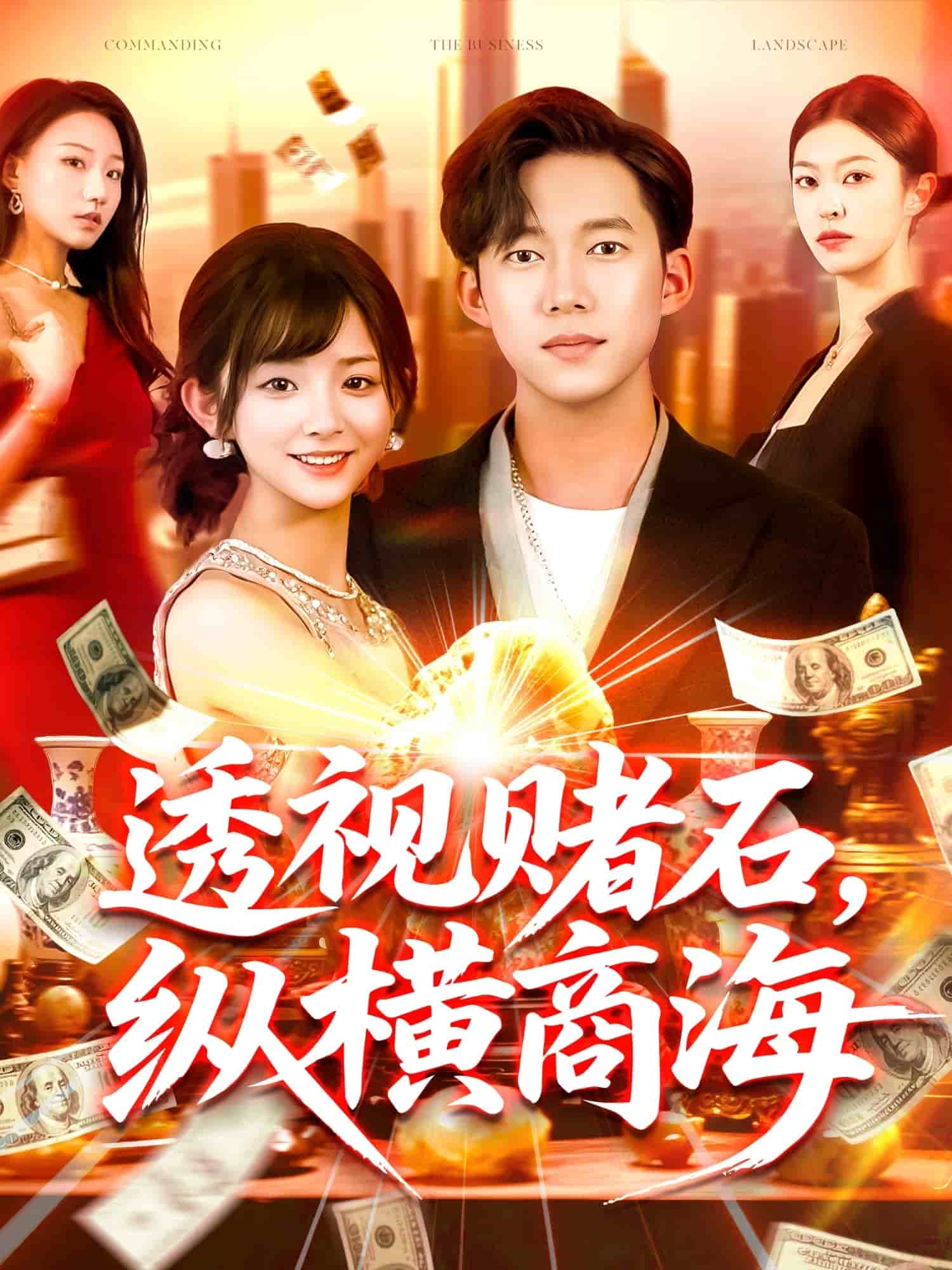透视赌石，纵横商海海报