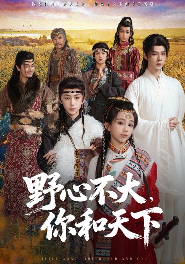 野心不大，你和天下海报