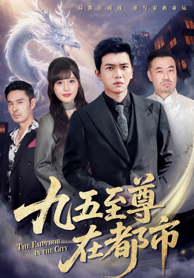 九五至尊在都市海报