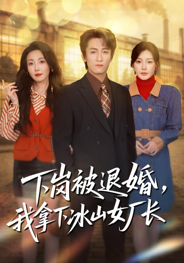 下岗被退婚，我拿下冰山女厂长海报