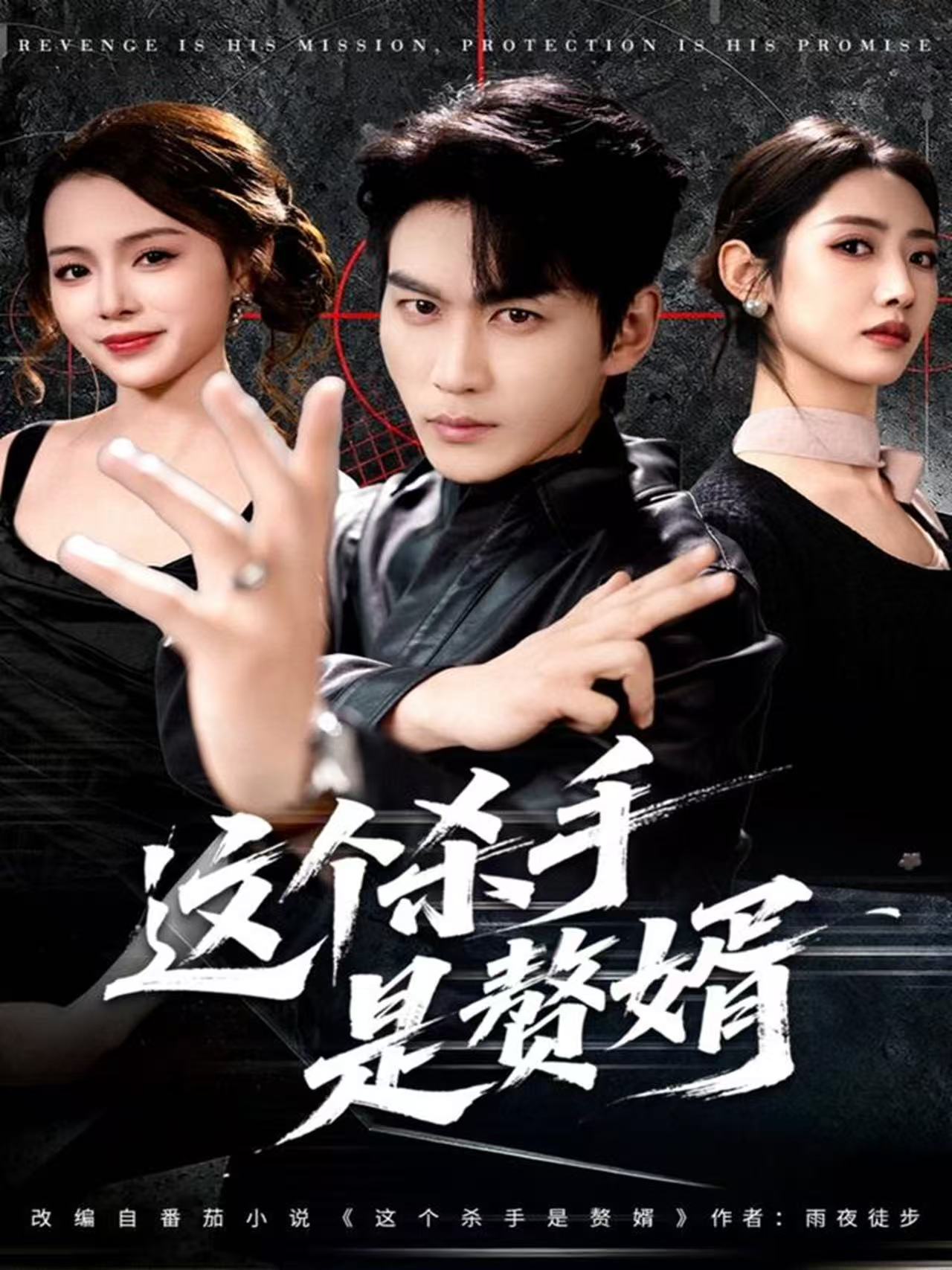 这个杀手是赘婿海报