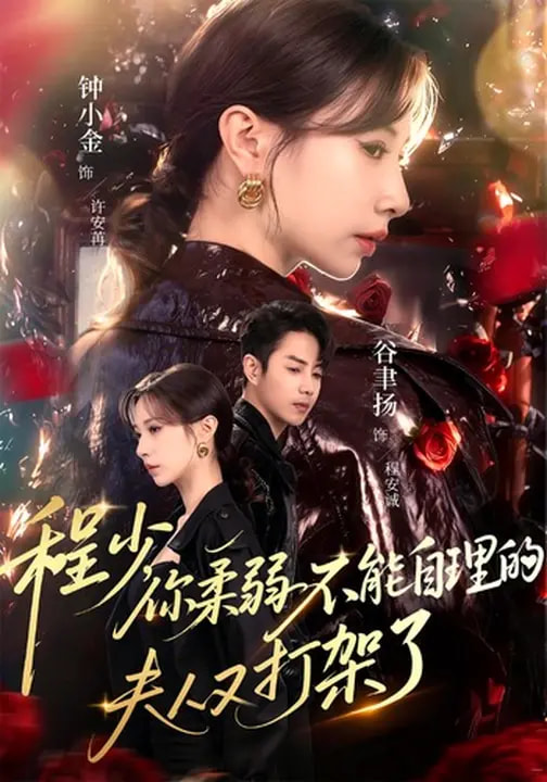 程少你柔弱不能自理的夫人又打架了海报