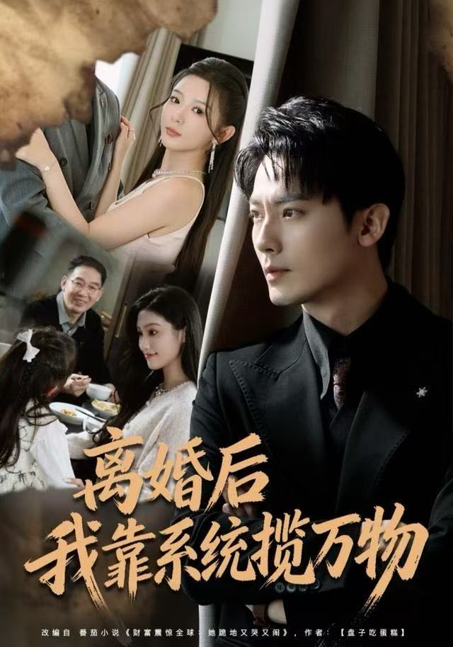 离婚后我靠系统揽万物海报
