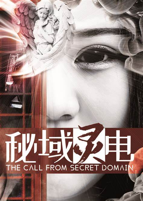 秘域灵电海报