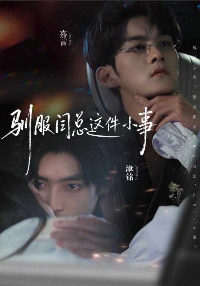 驯服闫总这件小事海报