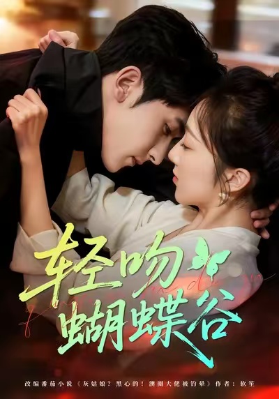 轻吻蝴蝶谷海报