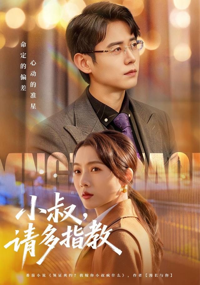 小叔请多指教海报