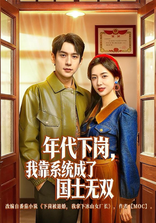 年代下岗，我靠系统成了国士无双海报