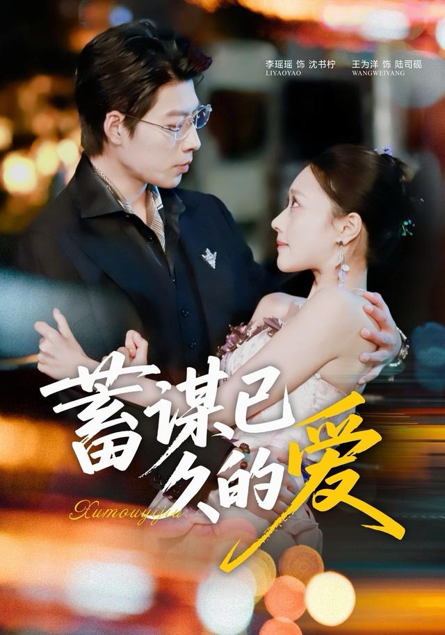 蓄谋已久的爱海报