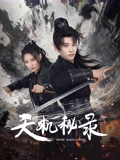天机秘录海报