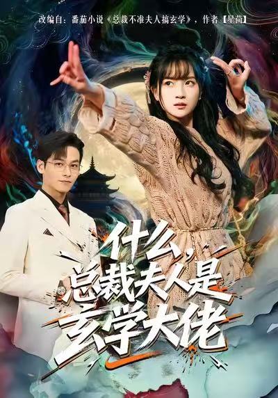 什么，总裁夫人是玄学大佬海报