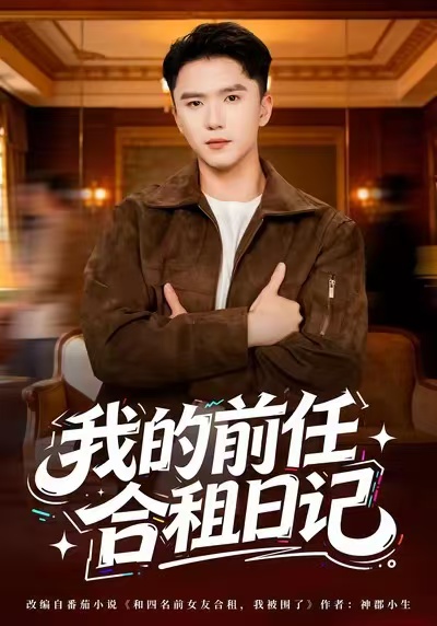 我的前任合租日记海报