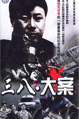 沈阳三八大案侦破纪实海报