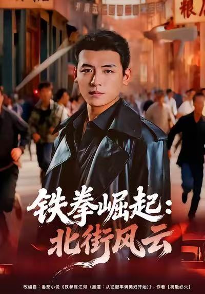铁拳崛起：北街风云海报