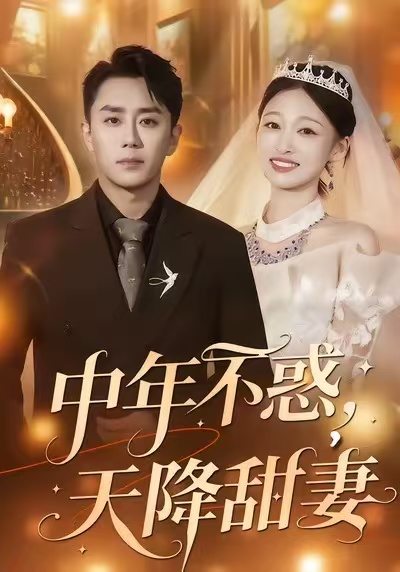 中年不惑，天降甜妻海报