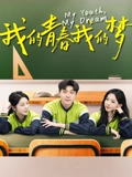 我的青春我的梦海报