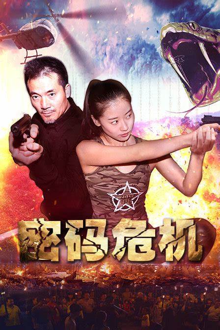 密码危机海报
