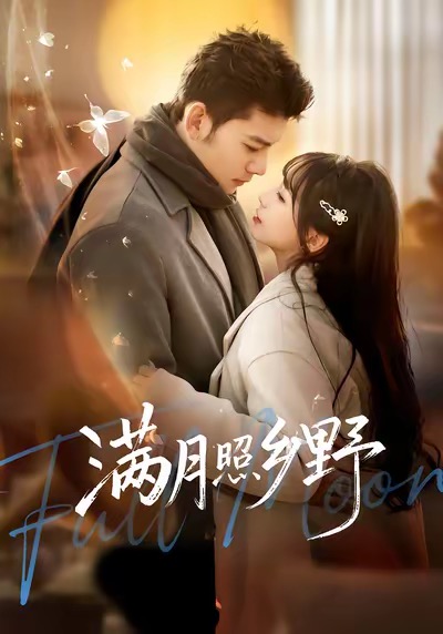 满月照乡野海报