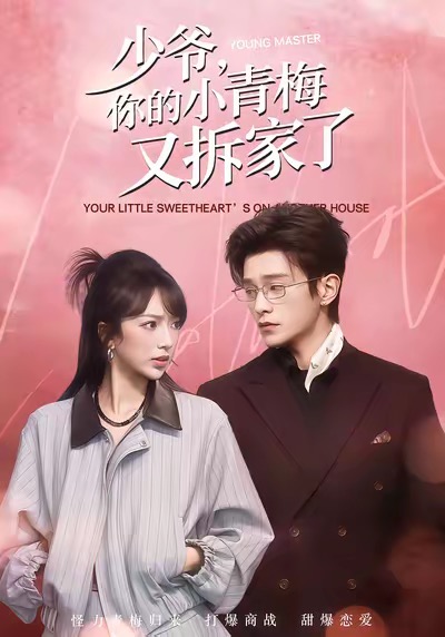 少爷，你的小青梅又拆家了海报