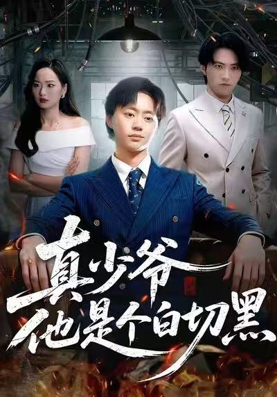 真少爷他是个白切黑海报