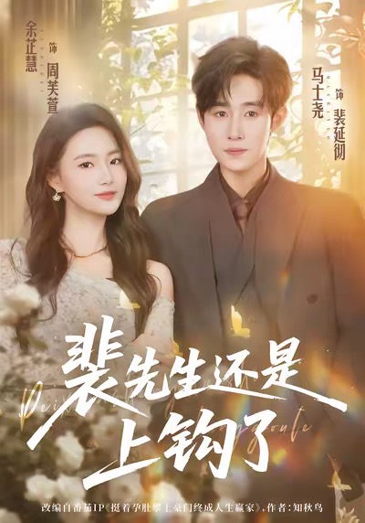 裴先生还是上钩了海报