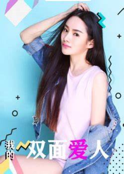 我的双面爱人海报
