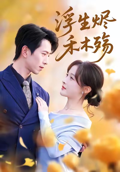 浮生烬禾木殇海报