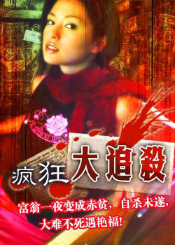 疯狂大追杀海报