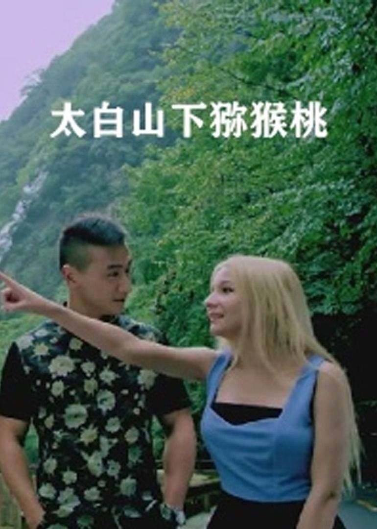 太白山下猕猴桃海报
