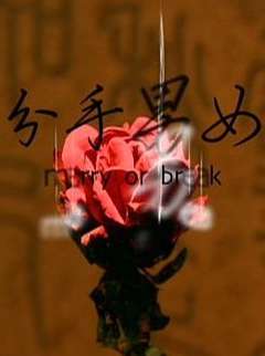 分手男女2008海报