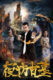 夜访古墓海报