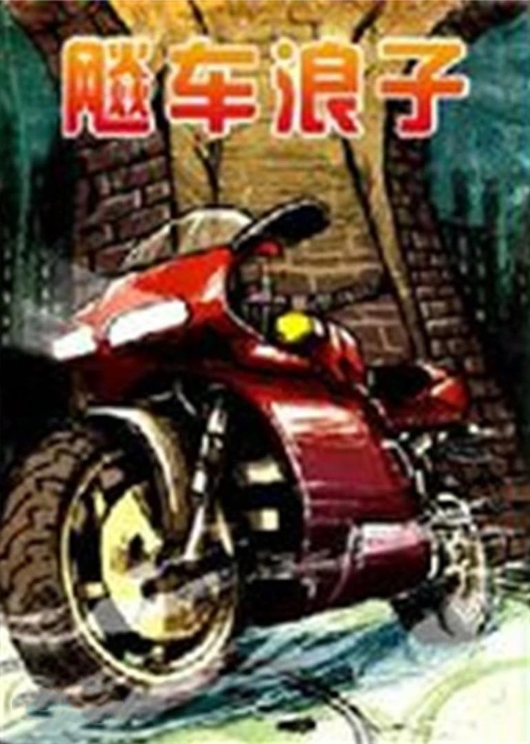 飚车浪子海报