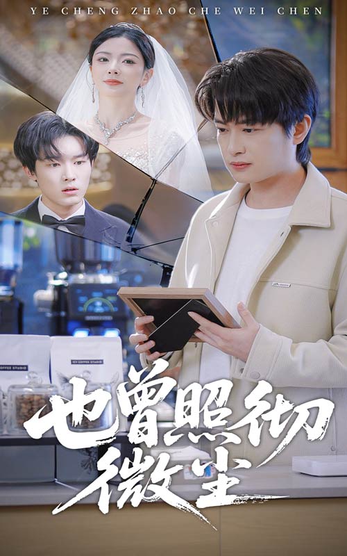 也曾照彻微尘海报