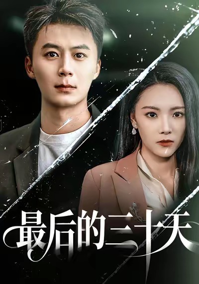 最后的三十天海报
