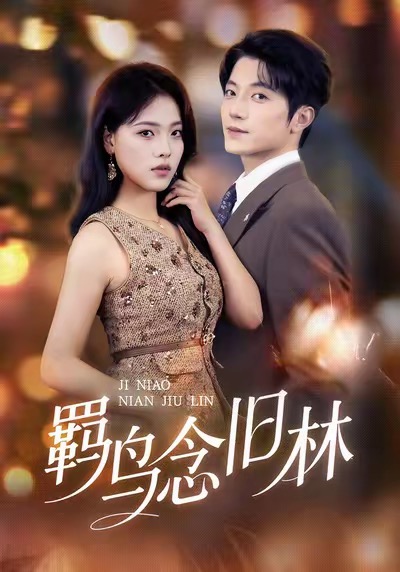 羁鸟念旧林海报