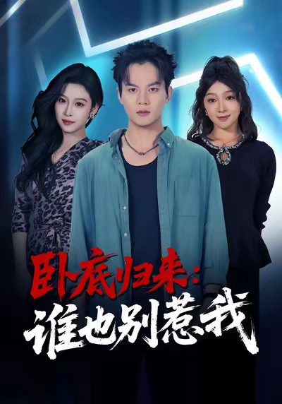 卧底归来谁也别惹我海报