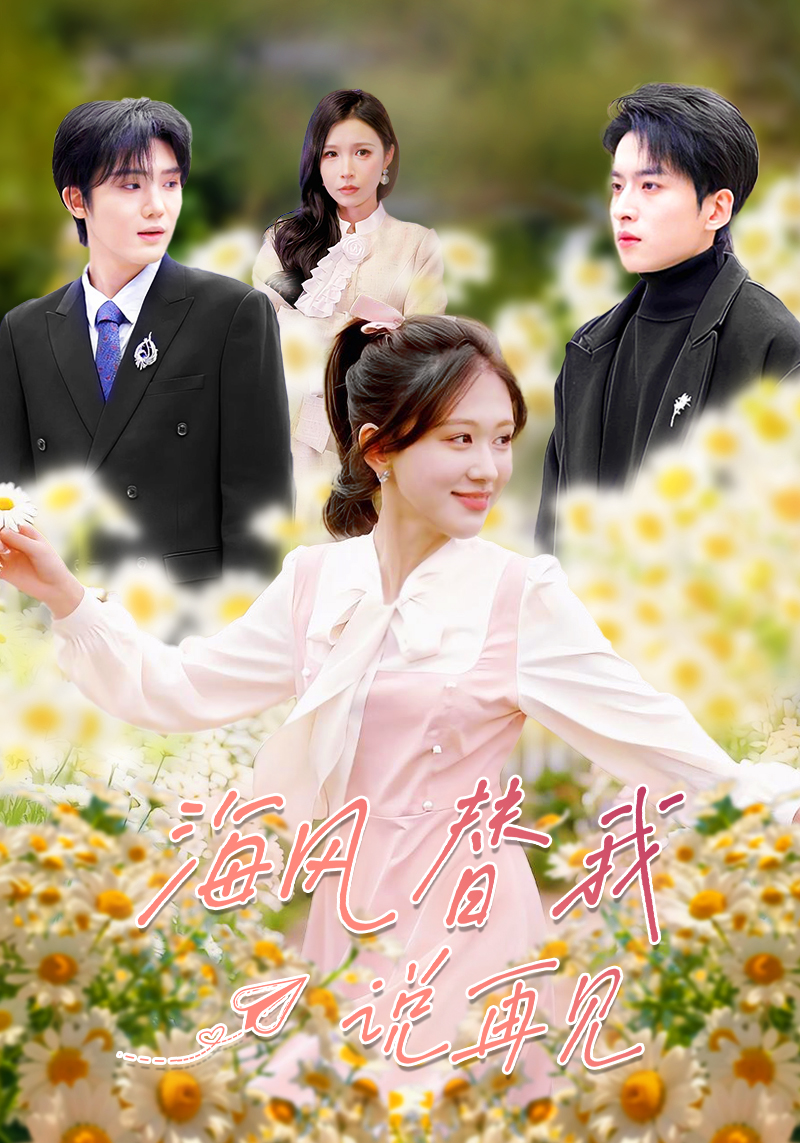 海风替我说再见海报