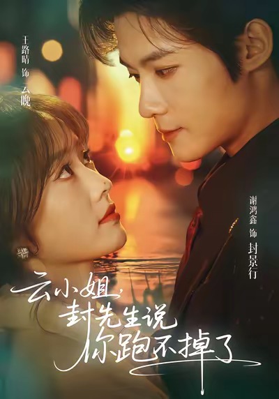 云小姐，封先生说你跑不掉了海报