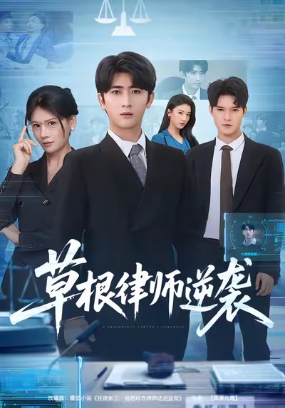草根律师逆袭海报