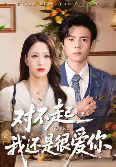 对不起，我还是很爱你海报