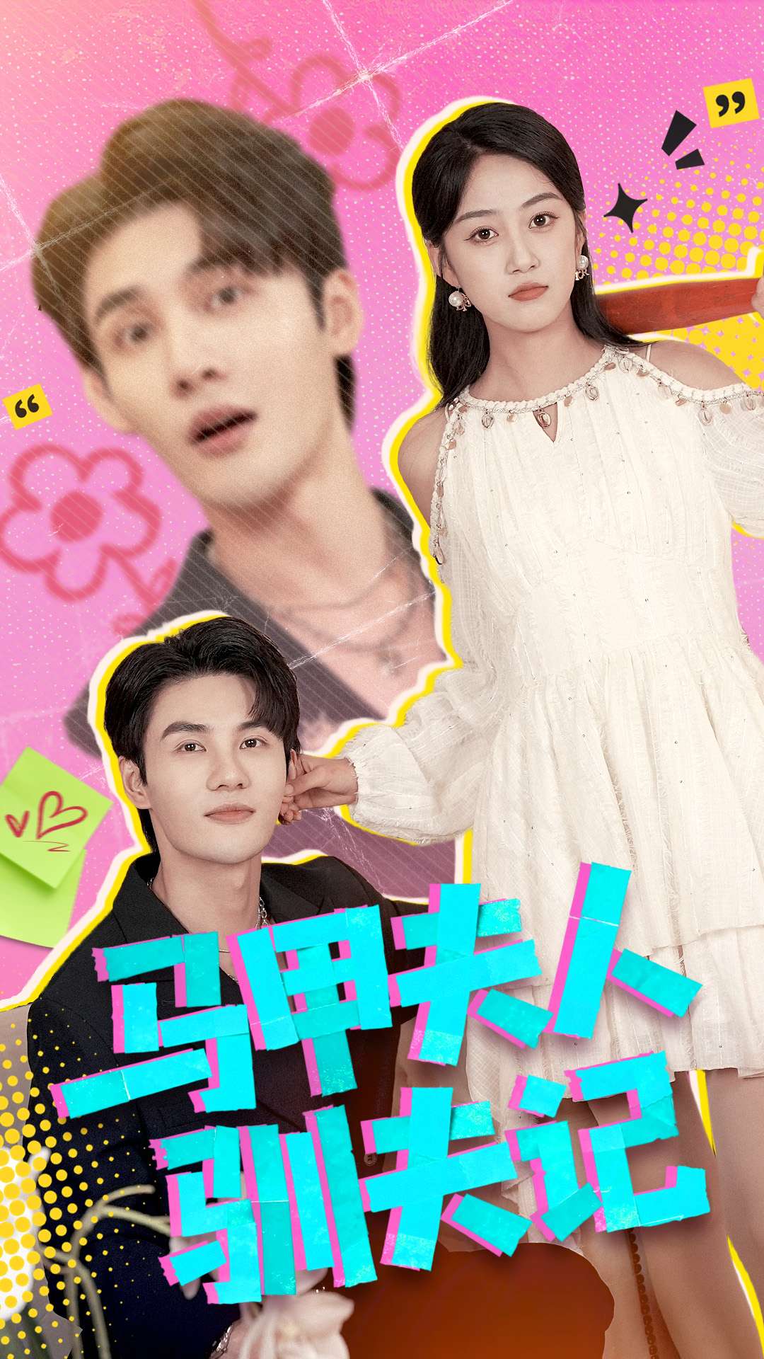 马甲夫人驯夫记海报