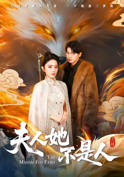 夫人她不是人海报